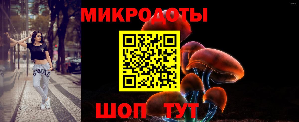 Коряжма  Галлюциногенные грибы мицелий  Вход с VPN 