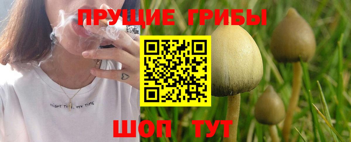 Галлюциногенные грибы Magic Shrooms Коряжма